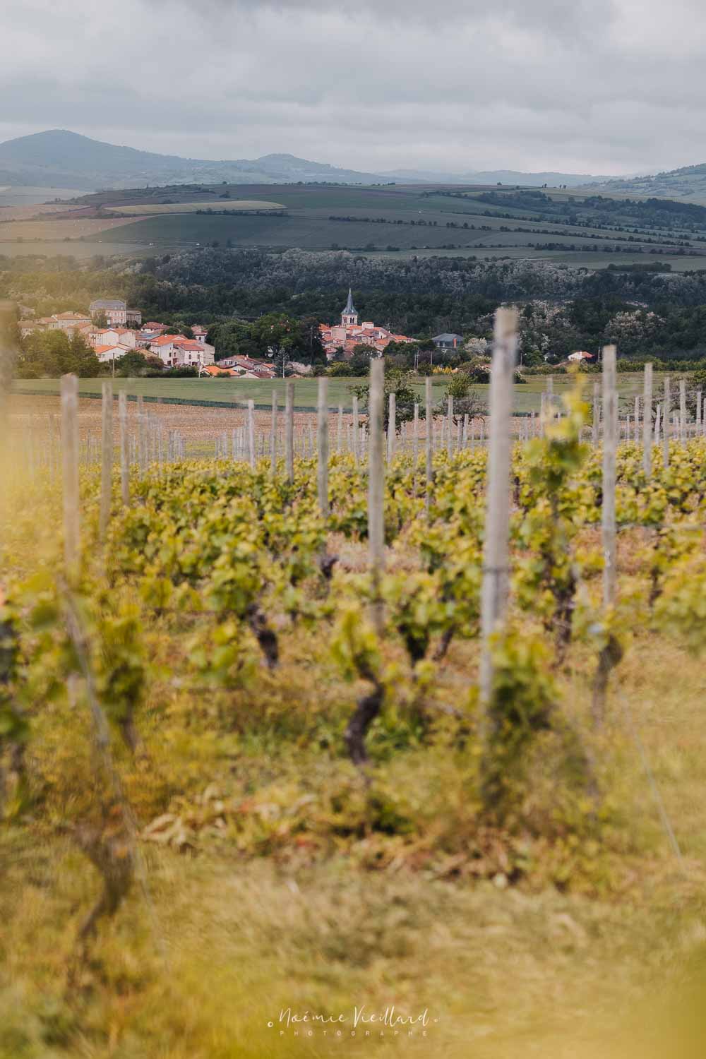 FRANCE - AUVERGNE VOLCANIC WINES ON THE RISE La ville de Neschers, au coeur du vin volcanique d'Auvergne.